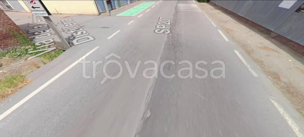 immagine annuncio 3 di 12