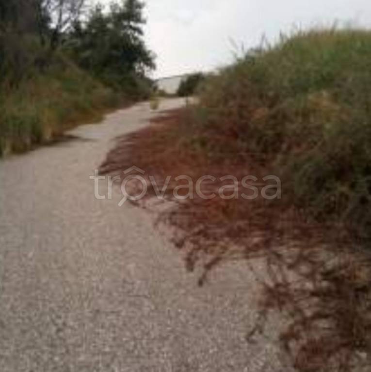 immagine annuncio 5 di 12