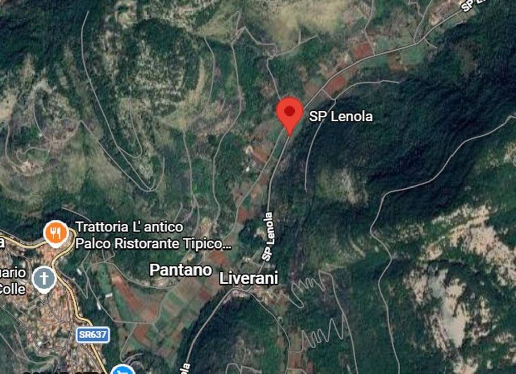 immagine annuncio 5 di 11