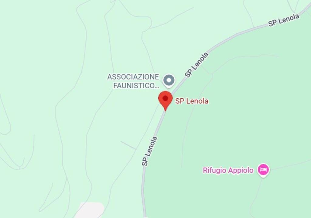 immagine annuncio 8 di 11