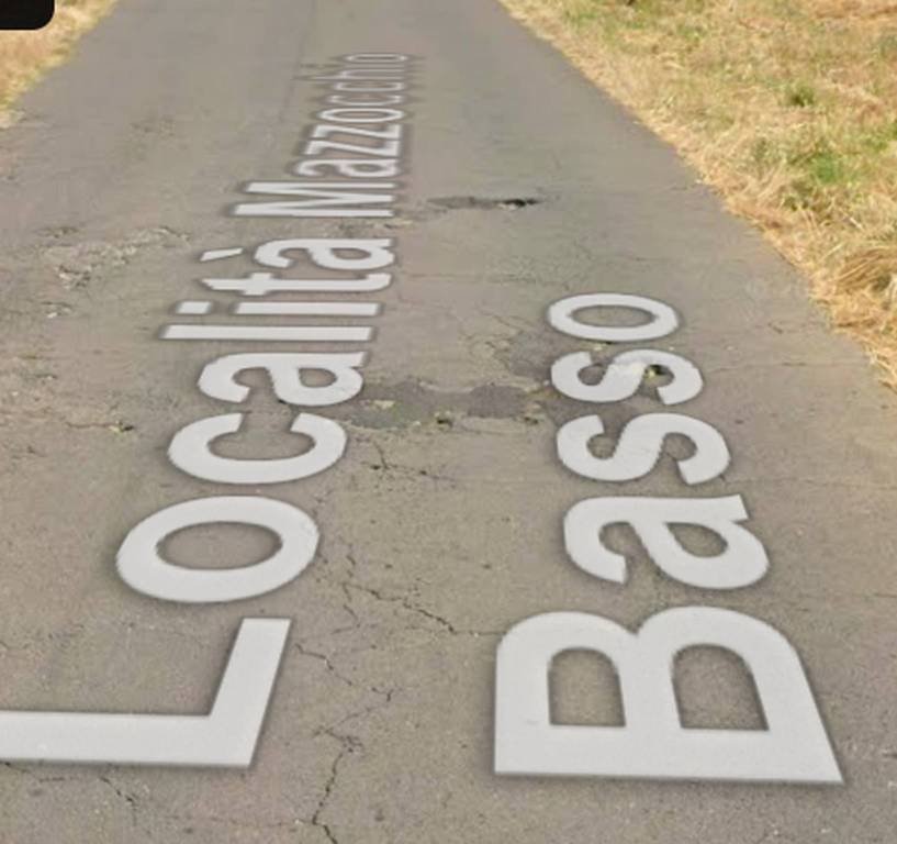 immagine annuncio 6 di 11