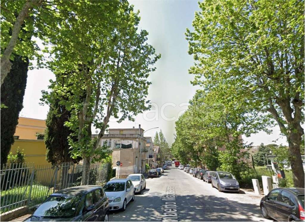 immagine annuncio 2 di 6