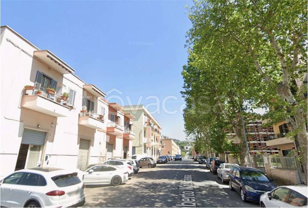 immagine annuncio 5 di 6