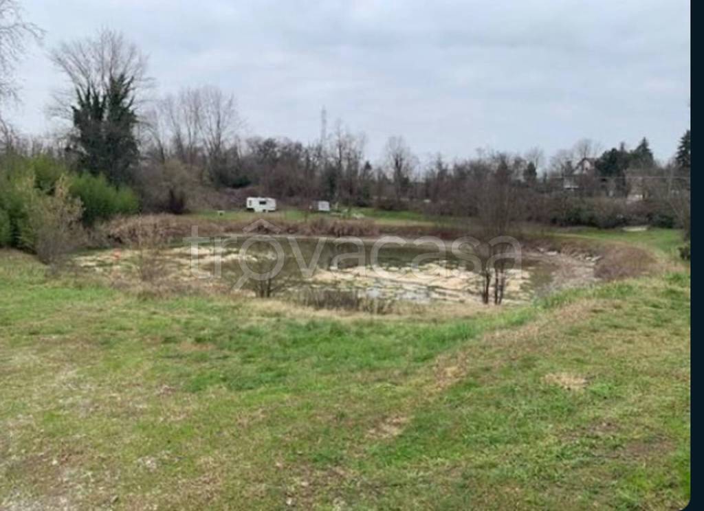 immagine annuncio 2 di 11