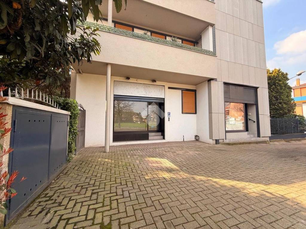 immagine annuncio 1 di 12