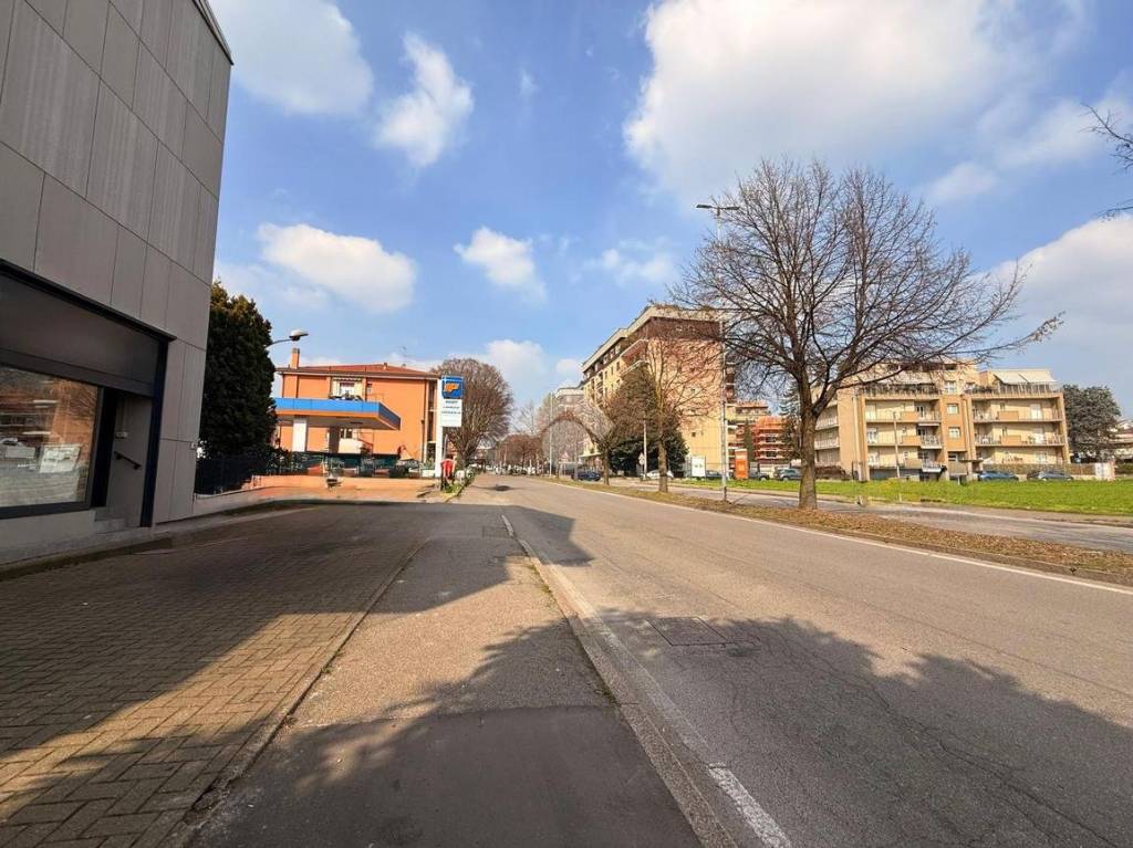 immagine annuncio 3 di 12