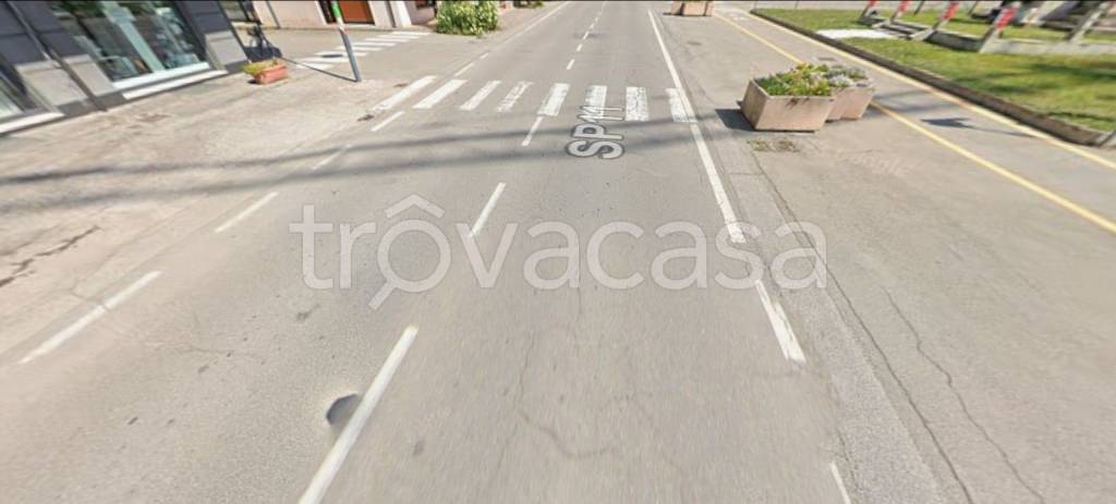 immagine annuncio 3 di 11