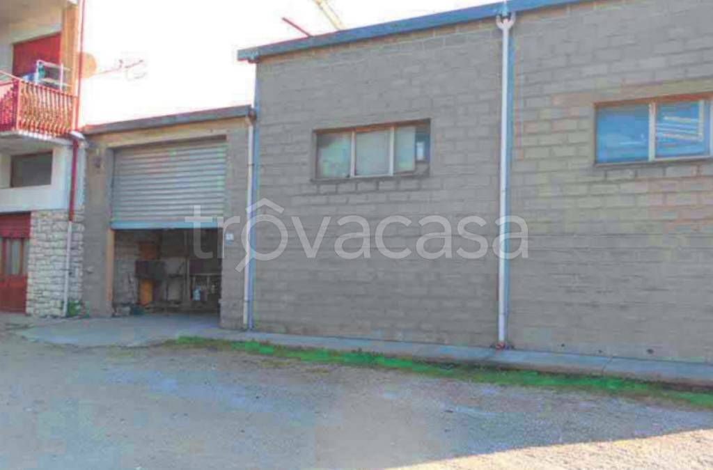 immagine annuncio 1 di 14