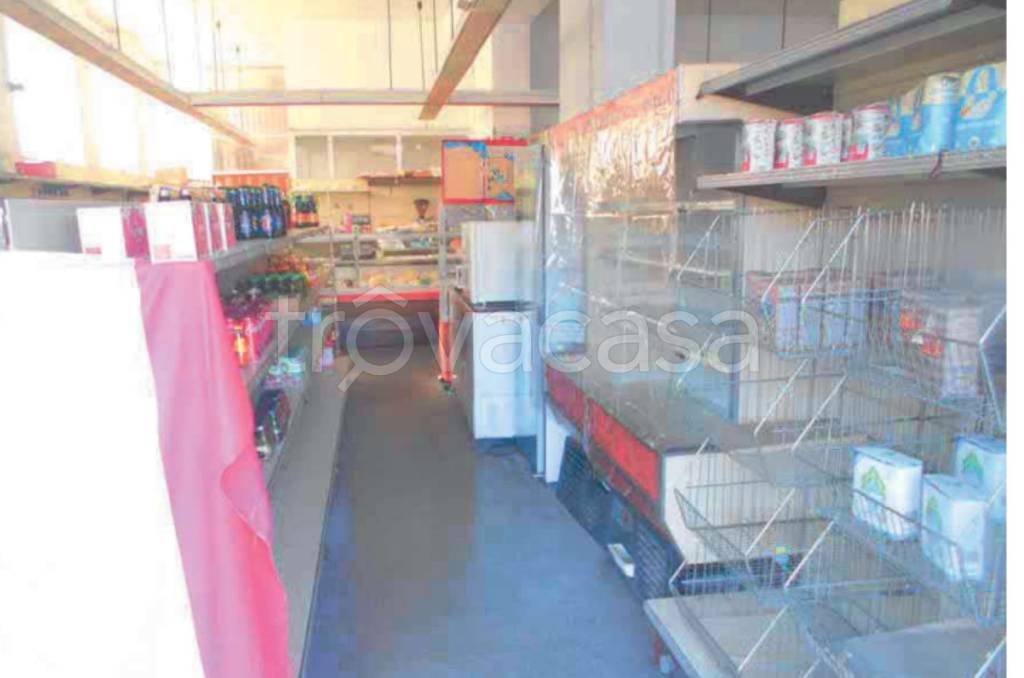 immagine annuncio 9 di 14