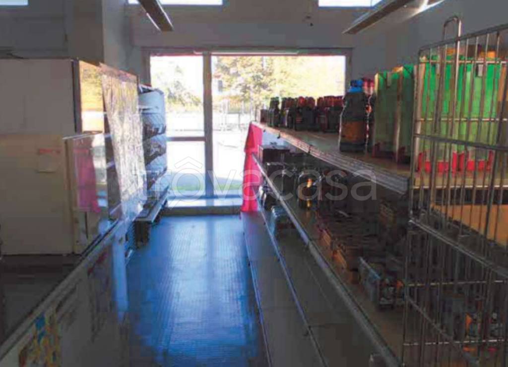 immagine annuncio 10 di 14