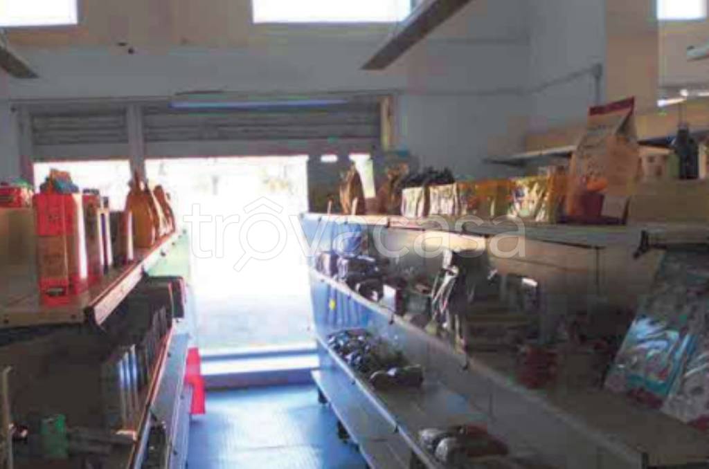 immagine annuncio 12 di 14