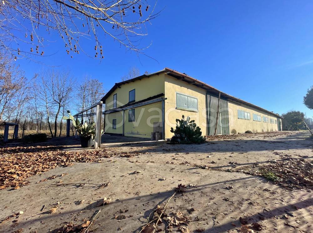 immagine annuncio 1 di 14