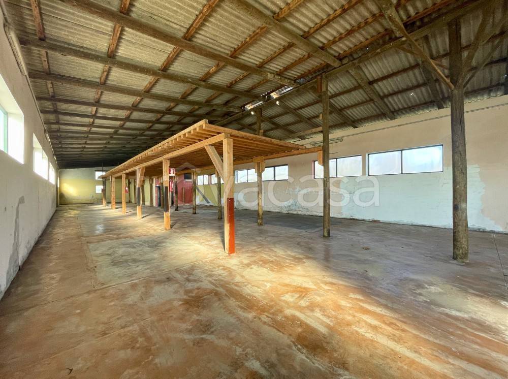 immagine annuncio 5 di 14