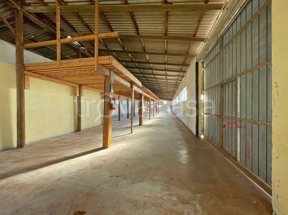 immagine annuncio 6 di 14