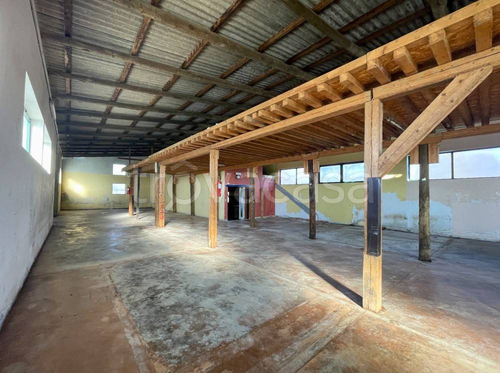 immagine annuncio 8 di 14