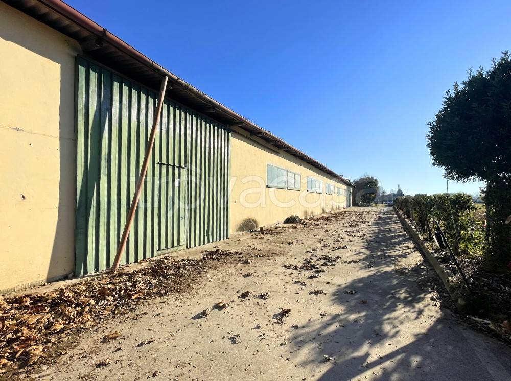 immagine annuncio 12 di 14