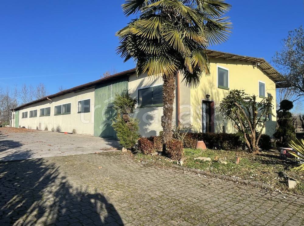 immagine annuncio 13 di 14