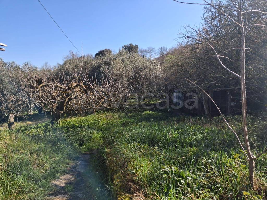 immagine annuncio 4 di 9