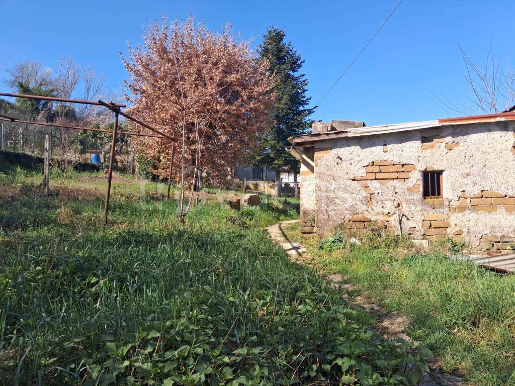 immagine annuncio 6 di 9