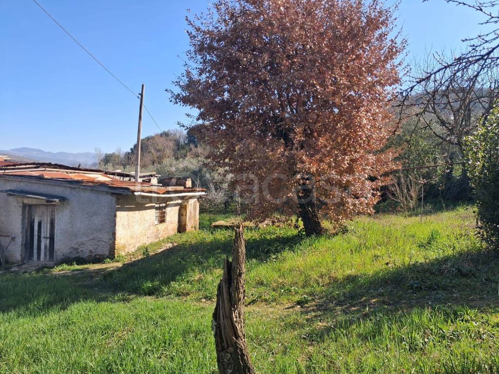 immagine annuncio 7 di 9