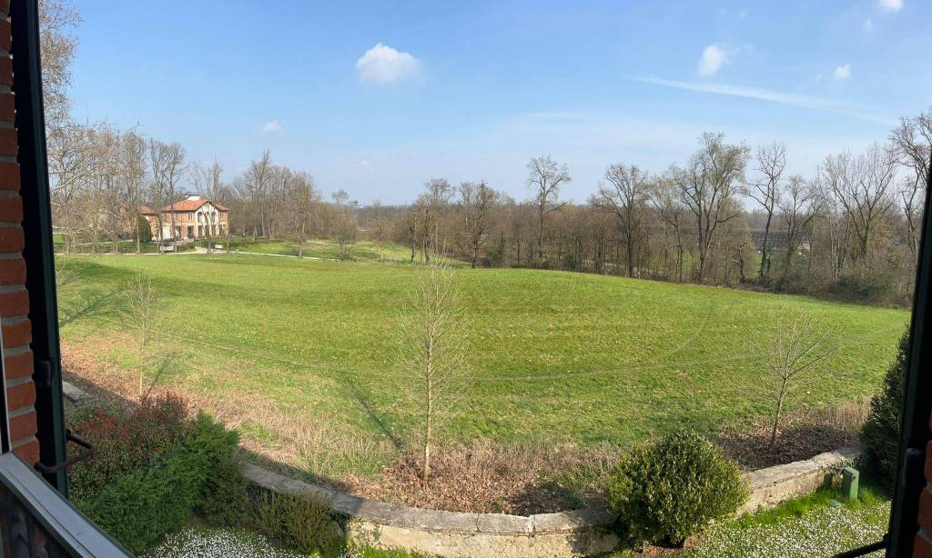 immagine annuncio 7 di 8