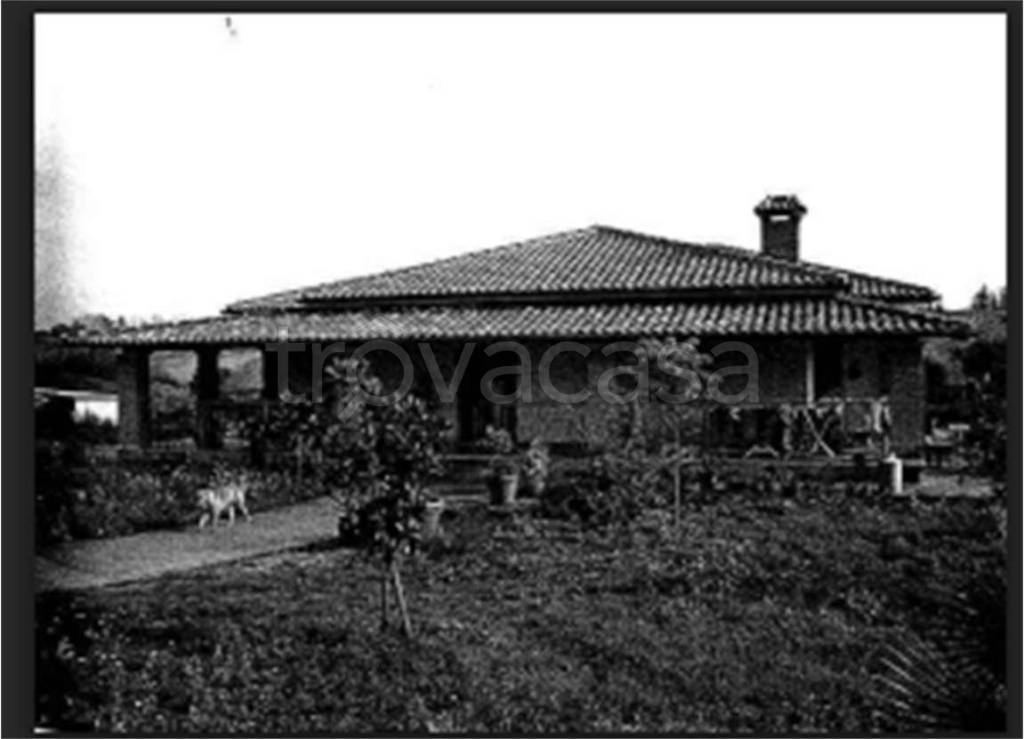 immagine annuncio 3 di 7