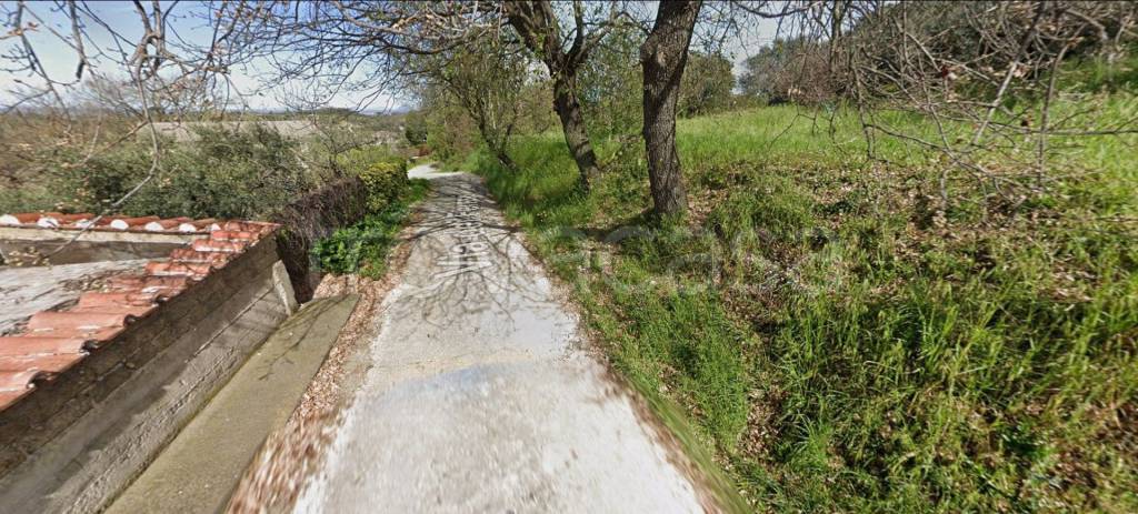 immagine annuncio 2 di 11