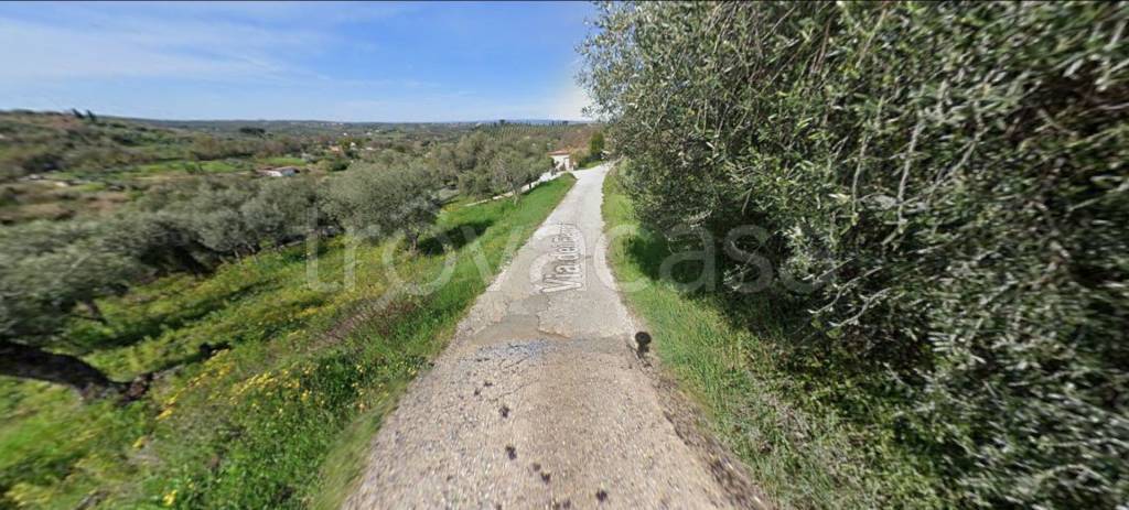 immagine annuncio 5 di 11