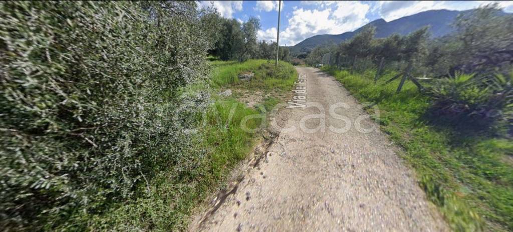 immagine annuncio 6 di 11