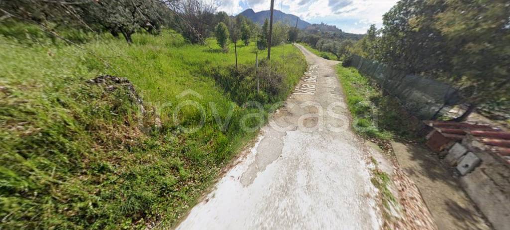 immagine annuncio 9 di 11