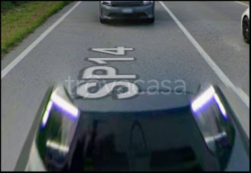 immagine annuncio 5 di 12