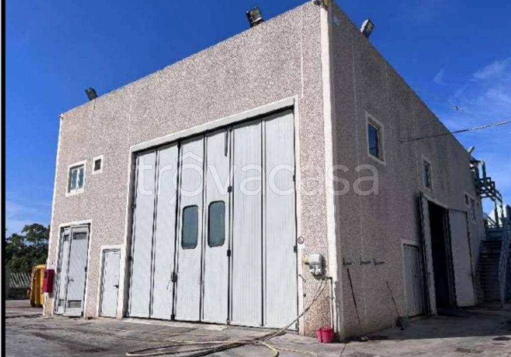 immagine annuncio 2 di 11