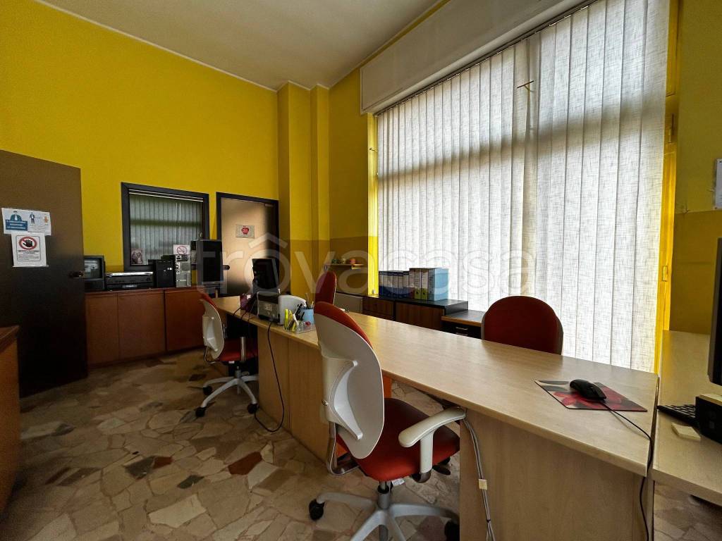 immagine annuncio 6 di 13