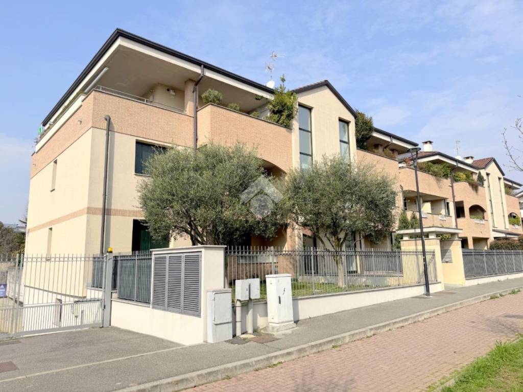 immagine annuncio 2 di 15