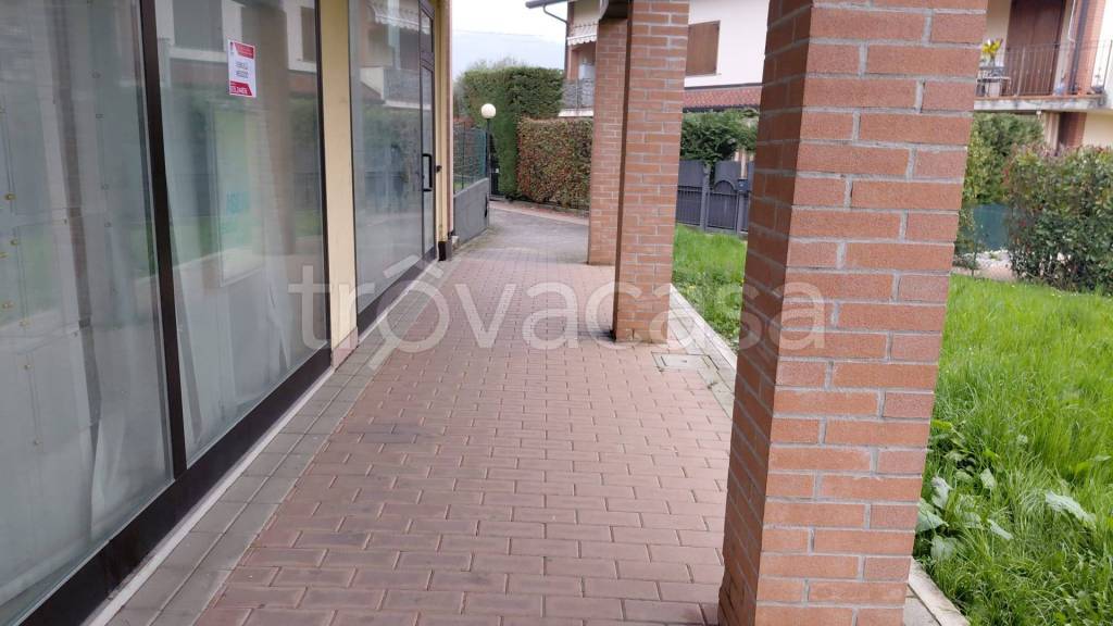 immagine annuncio 4 di 8