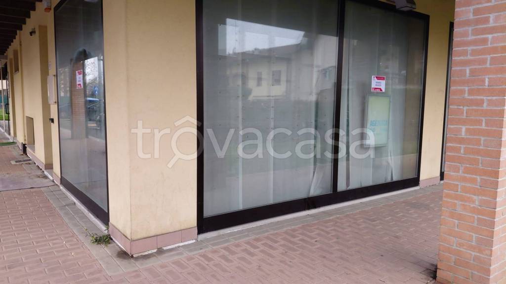 immagine annuncio 1 di 8