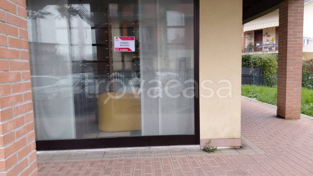 immagine annuncio 3 di 8