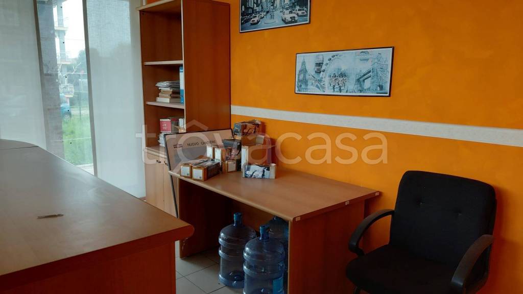 immagine annuncio 5 di 8