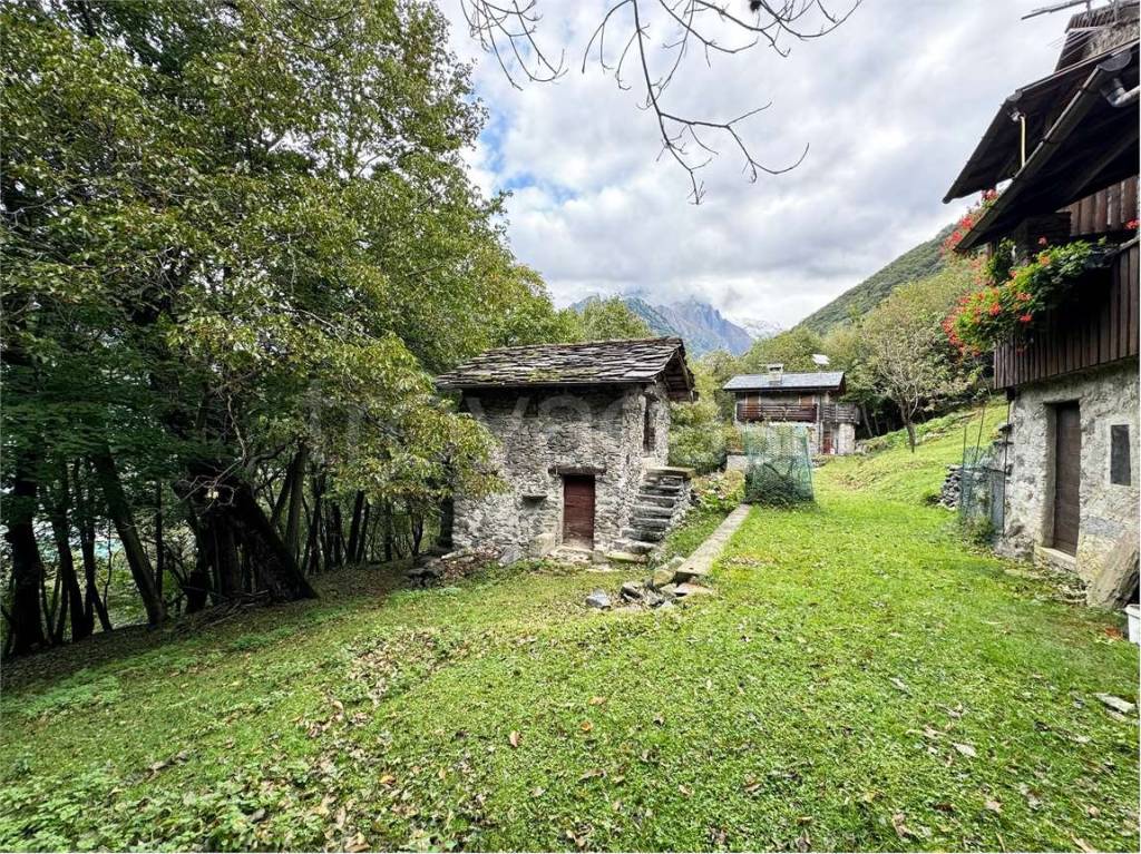 immagine annuncio 4 di 15