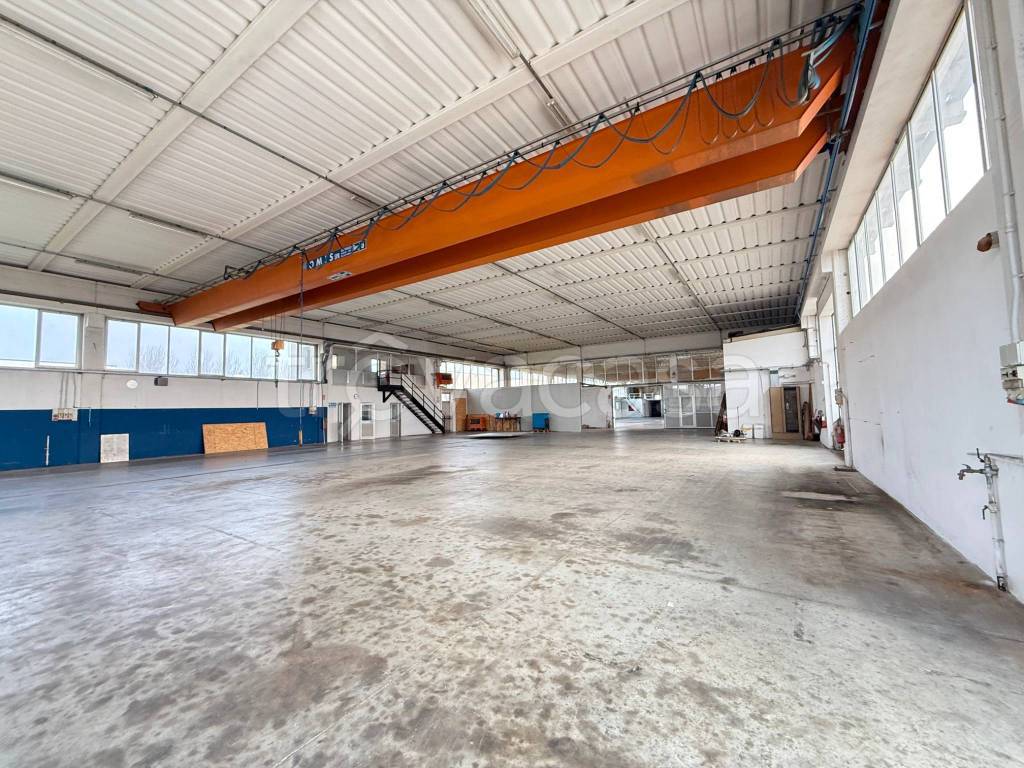 immagine annuncio 13 di 15