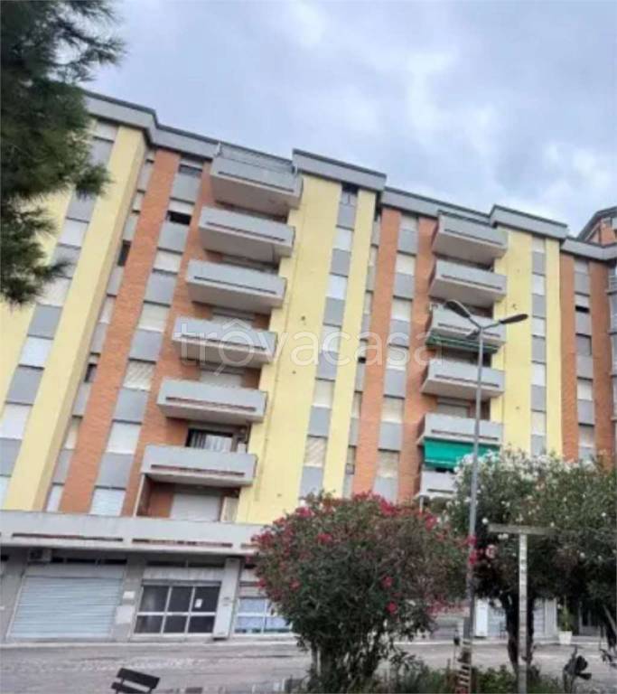 immagine annuncio 6 di 15