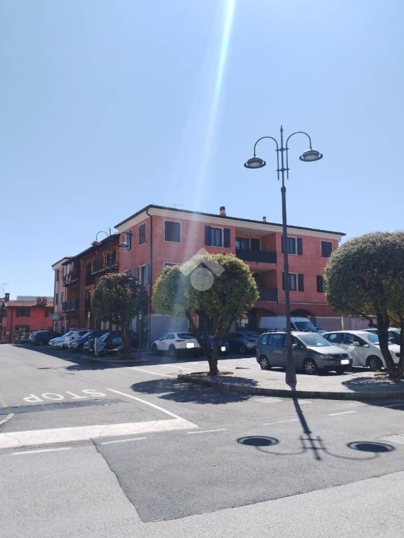 immagine annuncio 1 di 14