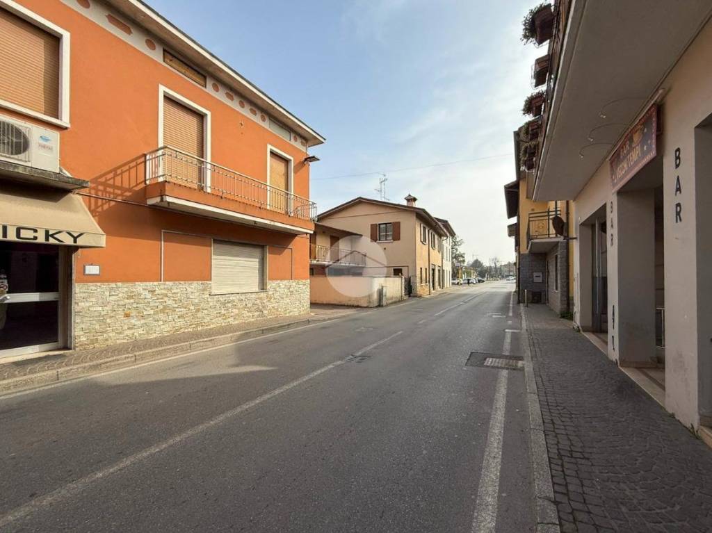 immagine annuncio 12 di 14