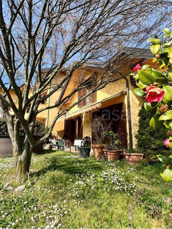 immagine annuncio 9 di 15