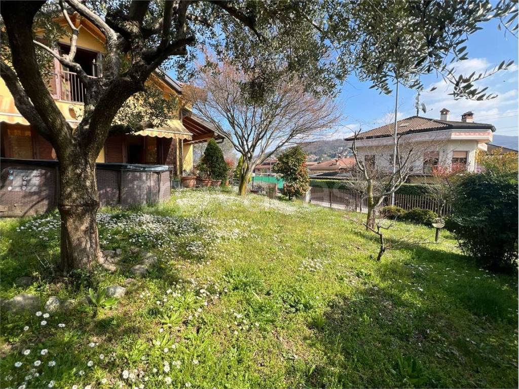 immagine annuncio 14 di 15