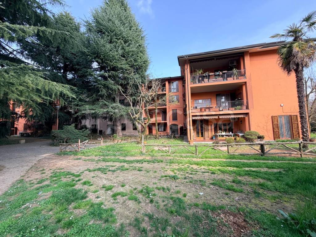 immagine annuncio 3 di 15