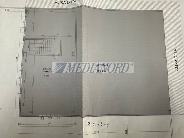 immagine annuncio 5 di 6