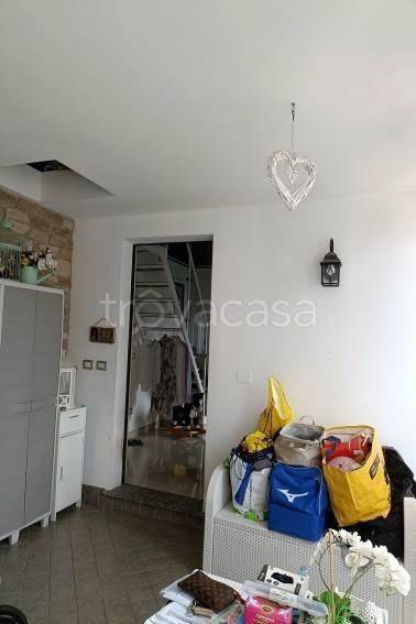 immagine annuncio 7 di 14