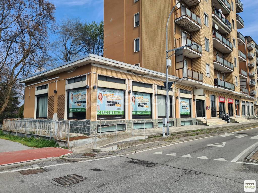 immagine annuncio 2 di 15