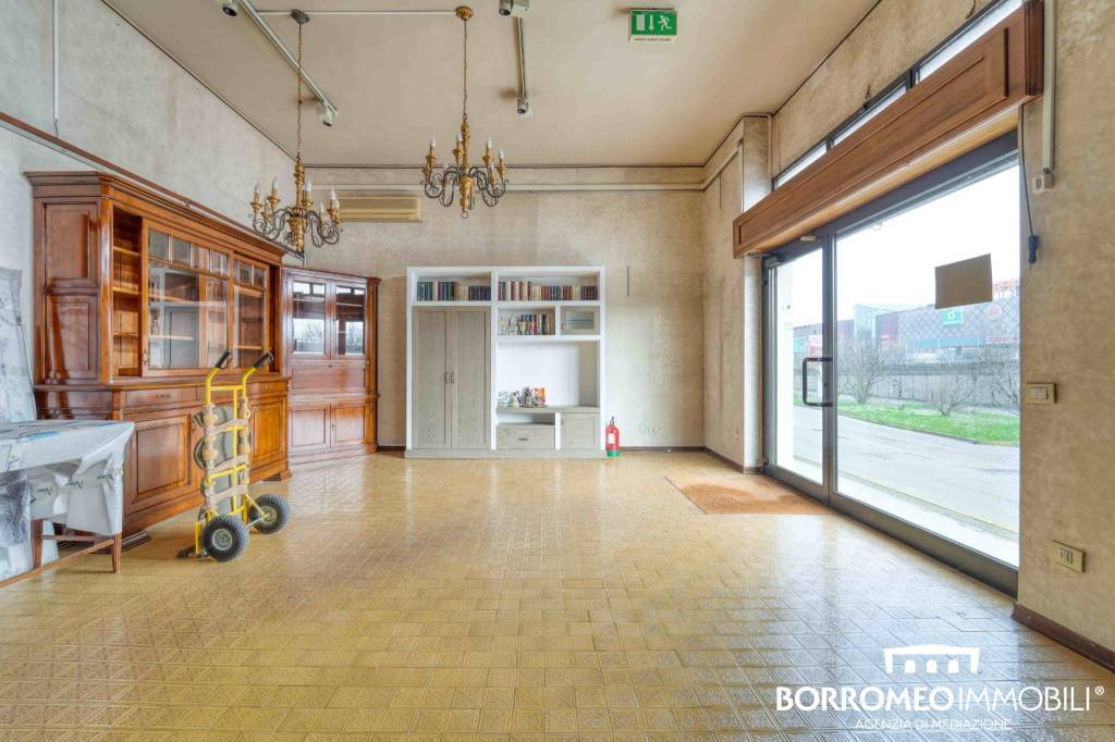 immagine annuncio 5 di 15